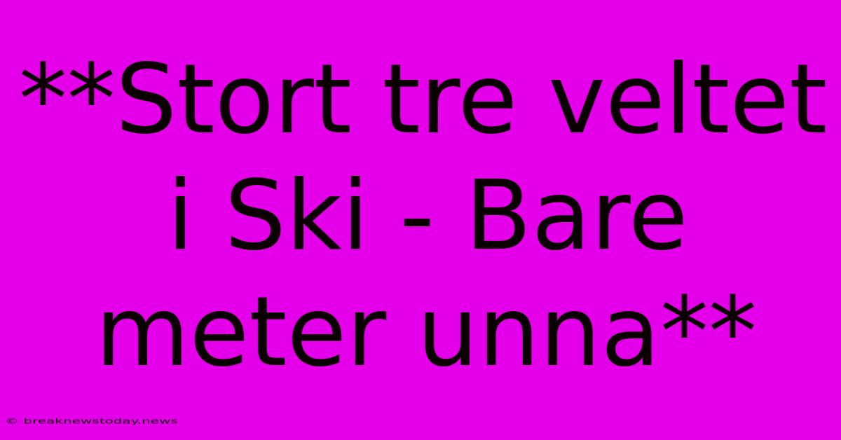 **Stort Tre Veltet I Ski - Bare Meter Unna**