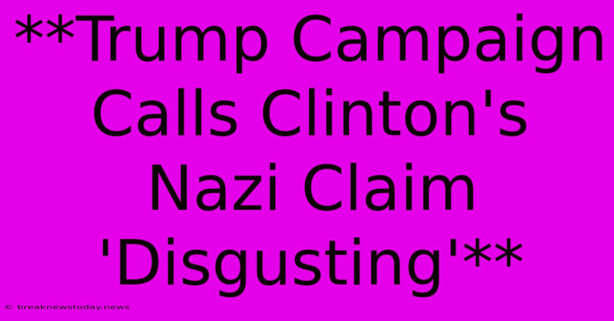 **Trump Campaign Calls Clinton's Nazi Claim 'Disgusting'**