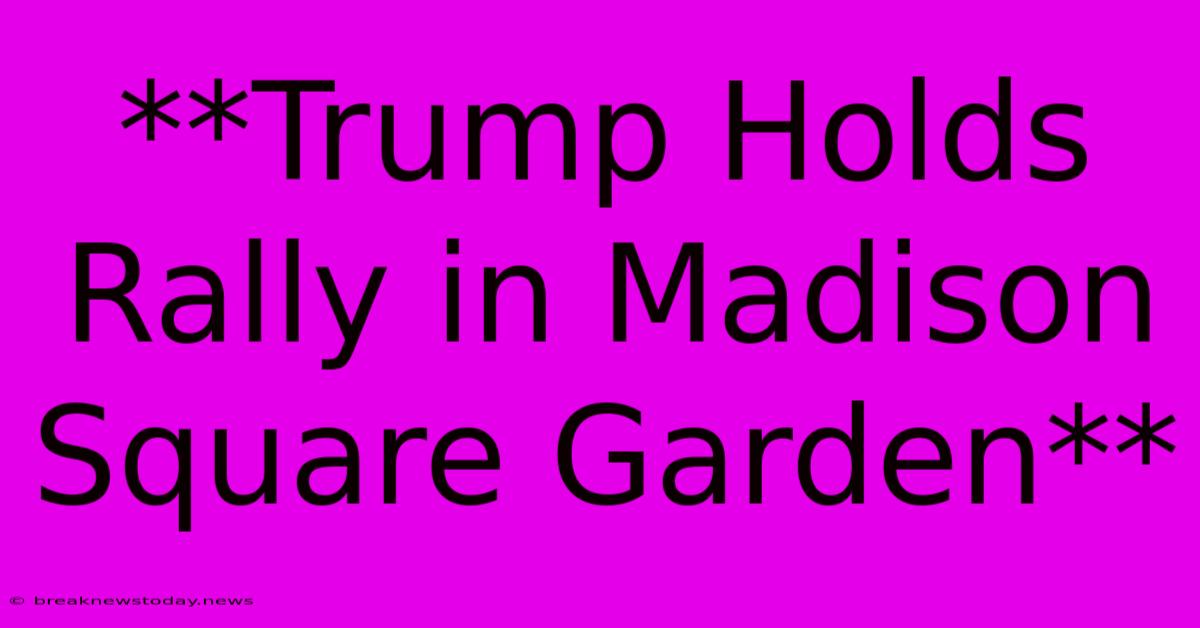 **Trump Holds Rally In Madison Square Garden**