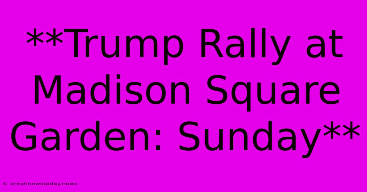 **Trump Rally At Madison Square Garden: Sunday** 