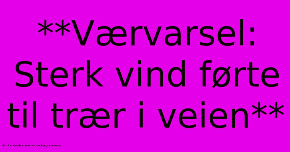 **Værvarsel: Sterk Vind Førte Til Trær I Veien**