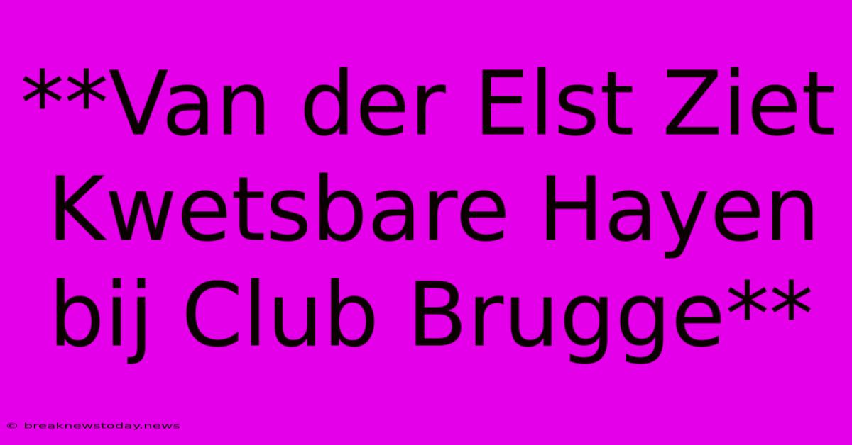 **Van Der Elst Ziet Kwetsbare Hayen Bij Club Brugge**