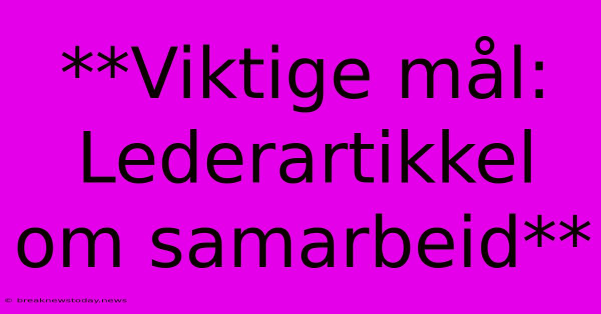 **Viktige Mål: Lederartikkel Om Samarbeid**