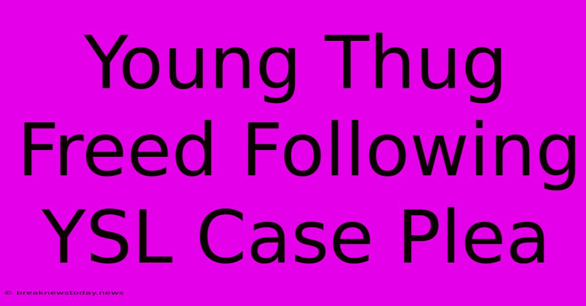 Young Thug Freed Following YSL Case Plea