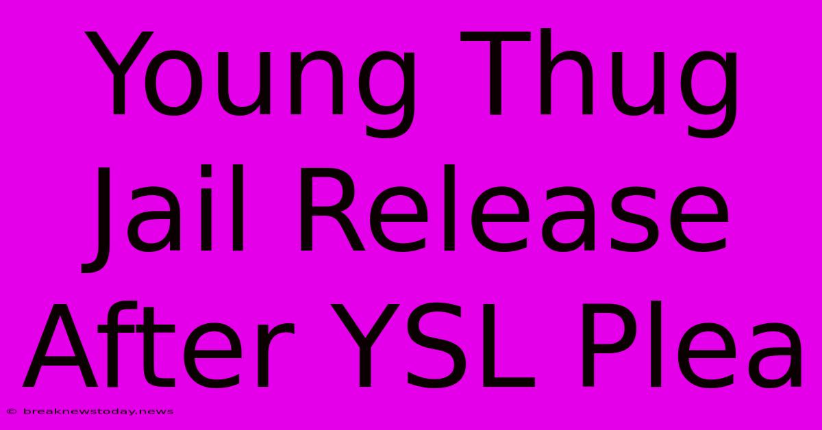 Young Thug Jail Release After YSL Plea