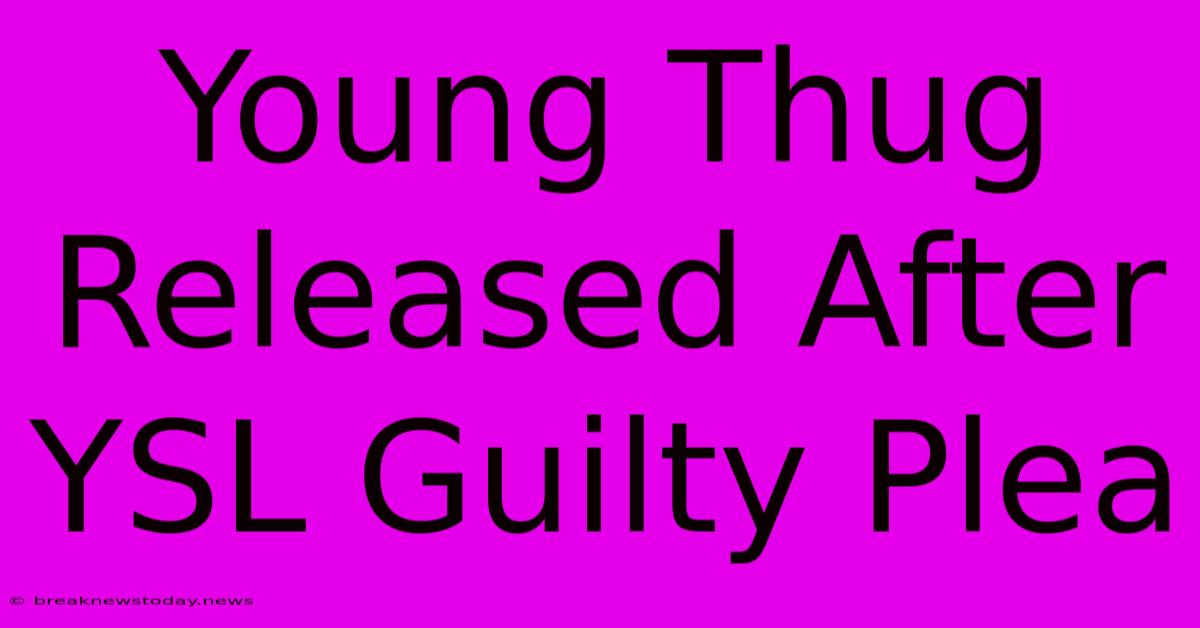 Young Thug Released After YSL Guilty Plea